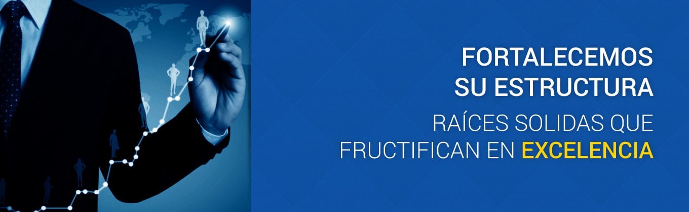 Fortalecemos su estructura — raíces sólidas que fructifican en excelencia